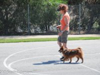 DSC 0340