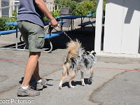 DSC 0351