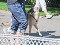 DSC 0356