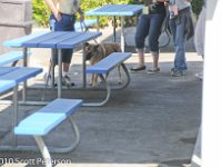 DSC 0359
