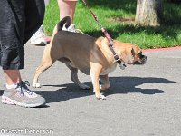 DSC 0362