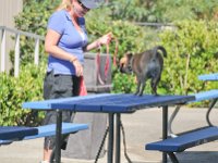 DSC 0366
