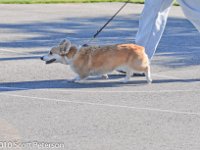 DSC 0418