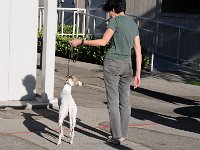 DSC 0426