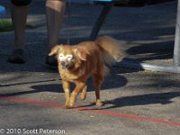 DSC 0428