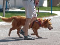 DSC 3731