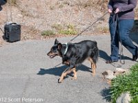 DSC 3204