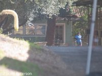 DSC 4290