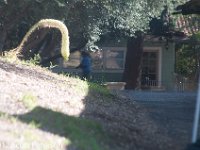 DSC 4291