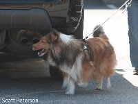 DSC 4306