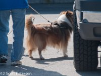 DSC 4309