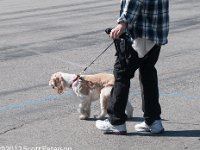 DSC 4312