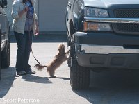 DSC 4347