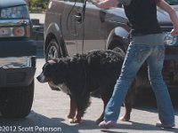 DSC 4350
