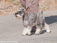 DSC 4367