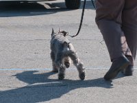 DSC 4368