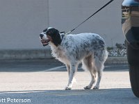 DSC 4374
