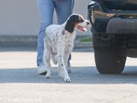 DSC 4375