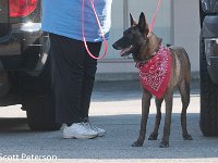 DSC 4383