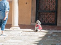 DSC 4719