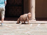 DSC 4746