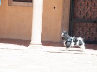 DSC 4786