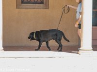 DSC 4788