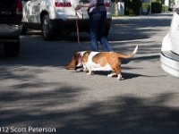 DSC 0401