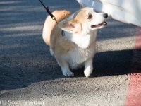DSC 0464