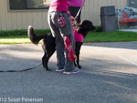 DSC 0479