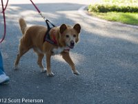 DSC 0490