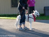 DSC 0505