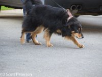 DSC 0509