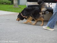 DSC 0510