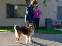 DSC 0521