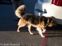 DSC 0525