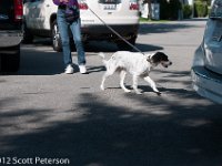 DSC 5126