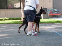 DSC 5151
