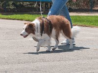 DSC 2291