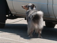 DSC 2304