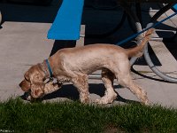 DSC 3658
