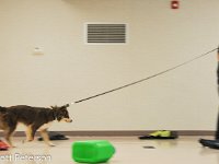 DSC 0015