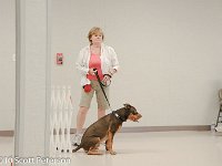 DSC 0018