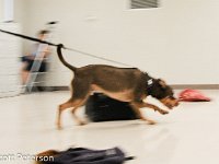 DSC 0019