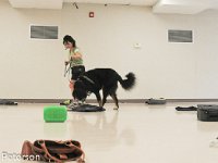DSC 0062