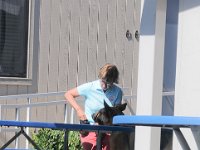 DSC 0087