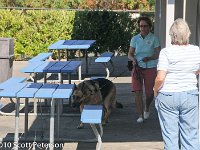 DSC 0089