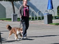 DSC 0091