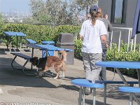 DSC 0094
