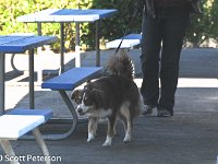 DSC 0095